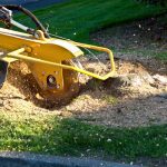 Stump Grinding in Knoxville, Tennessee