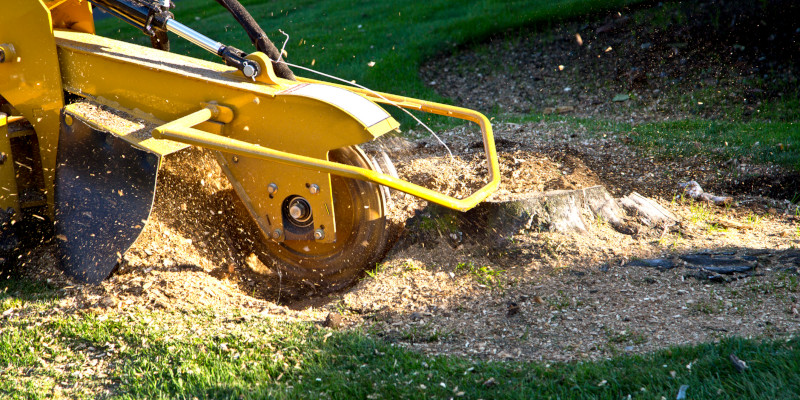 Stump Grinding in Amherst, Tennessee